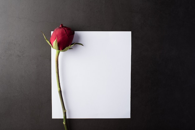 El significado de la carta de la muerte en el amor 7 El significado de la carta de la muerte en el amor
