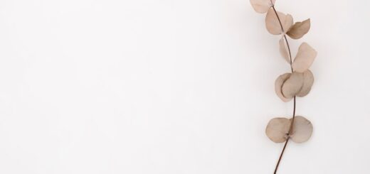 Descubriendo el significado del minimalismo personal