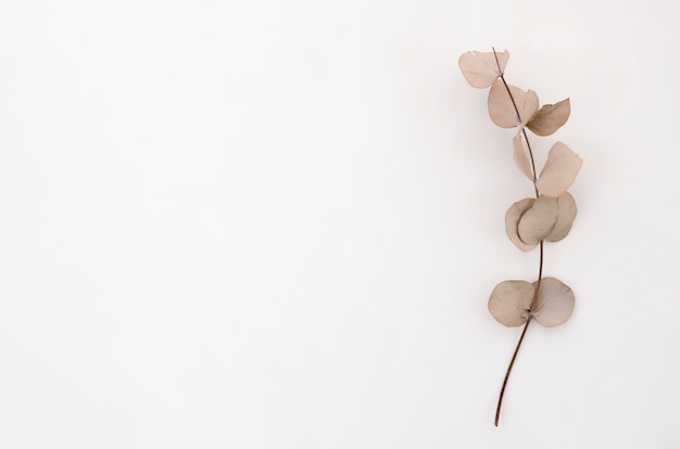 Descubriendo el significado del minimalismo personal