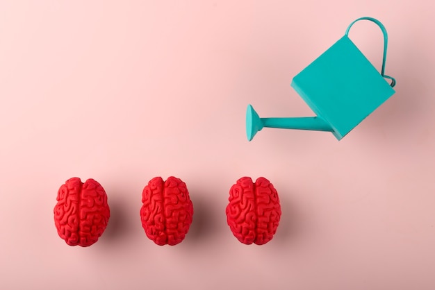 La batalla entre el cerebro y la mente 7 La batalla entre el cerebro y la mente