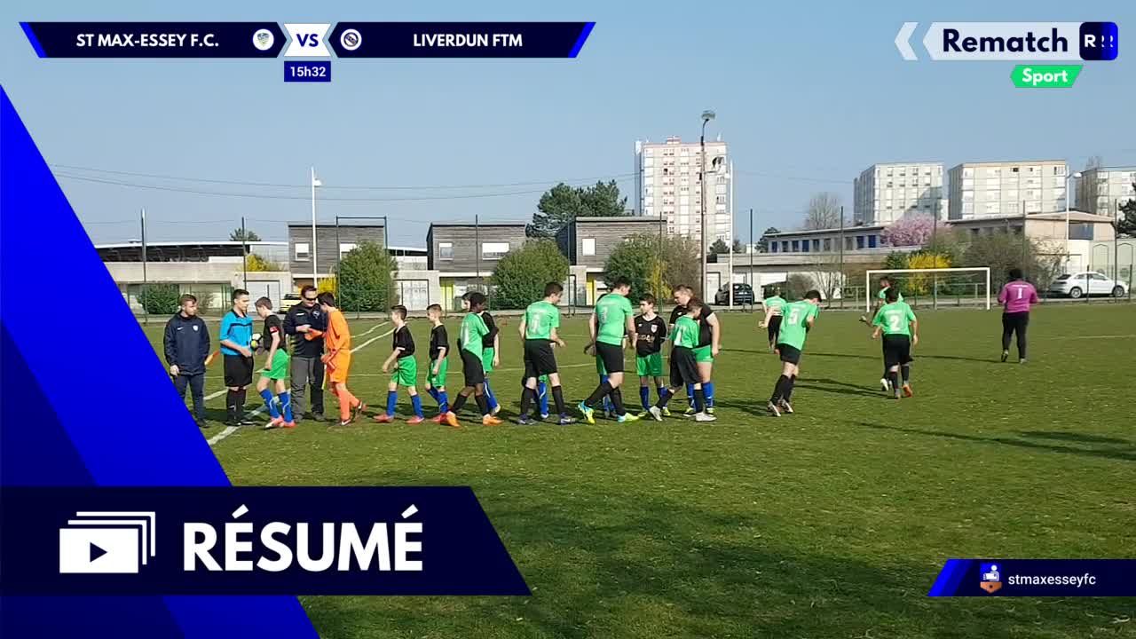 Vignette du résumé