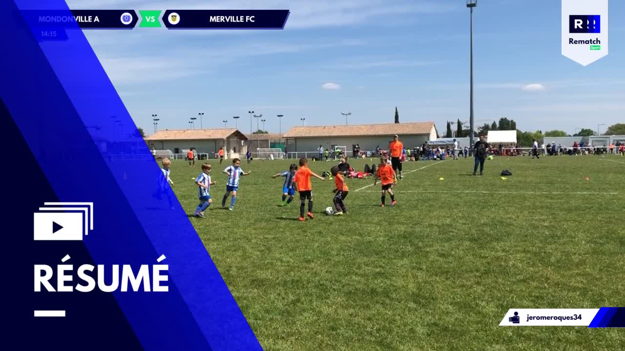 Vignette du résumé