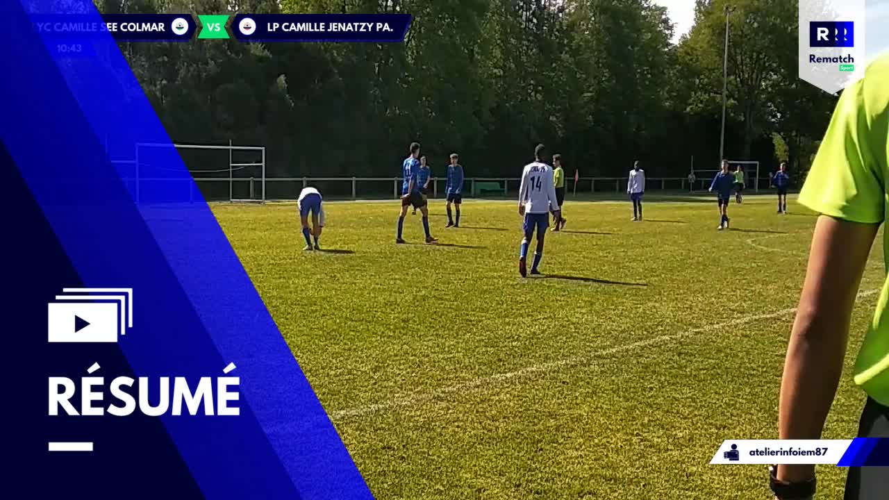 Vignette du résumé