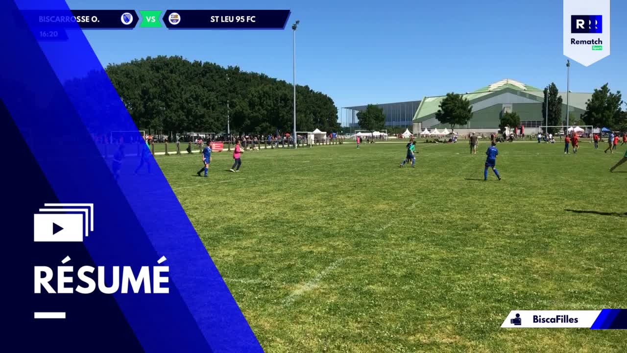 Vignette du résumé