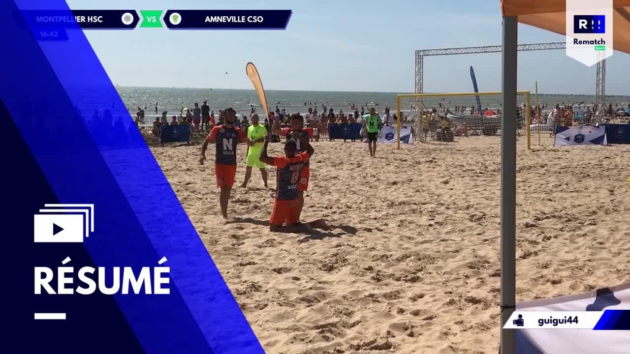 Vignette du résumé