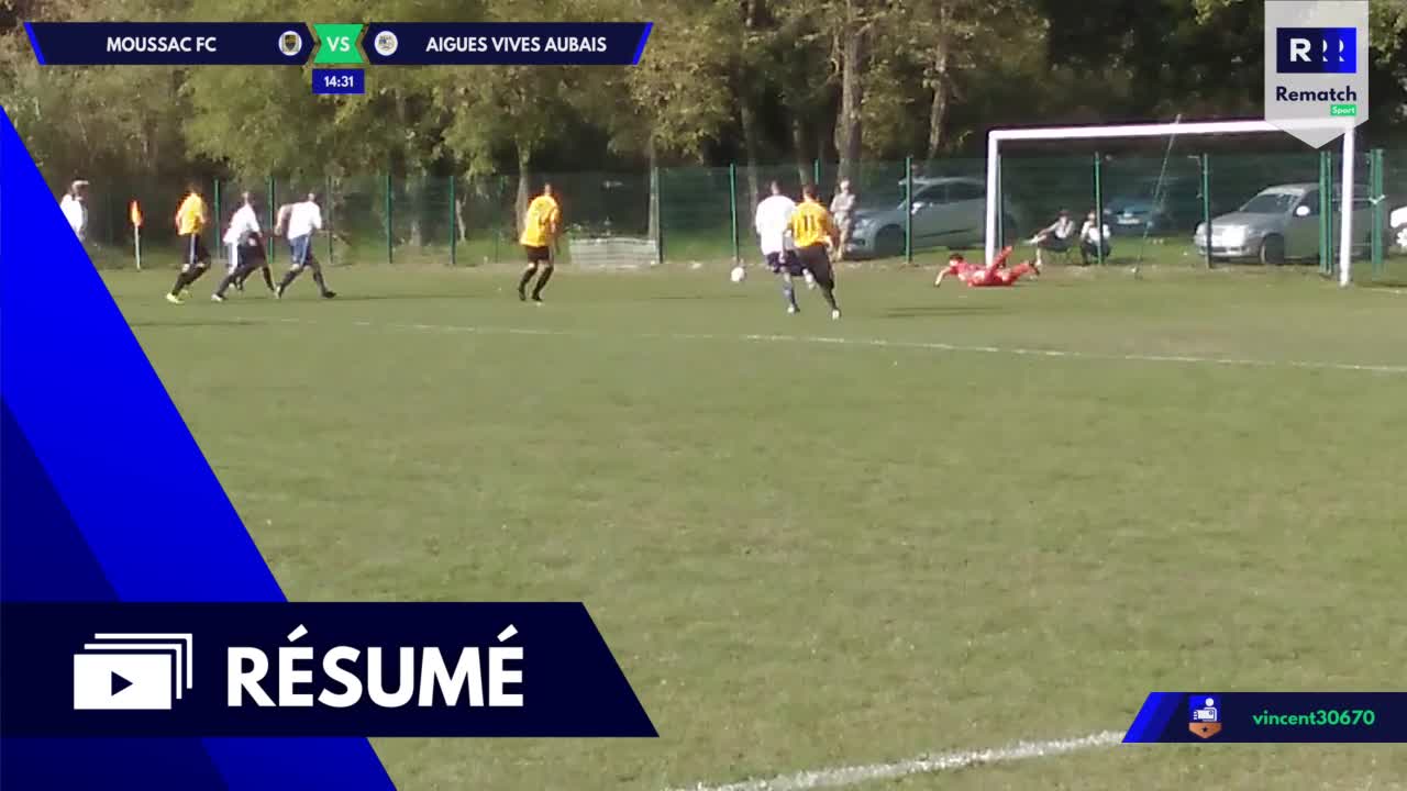 Vignette du résumé