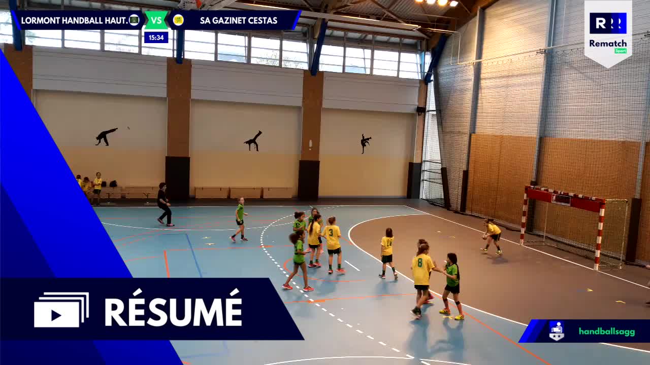 Vignette du résumé