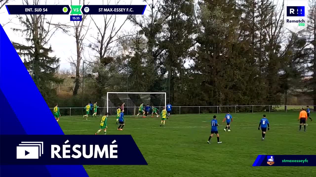 Vignette du résumé