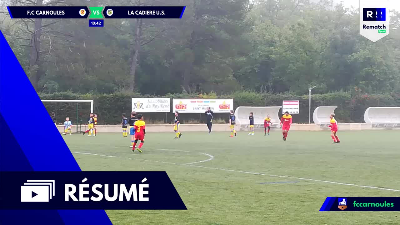 Vignette du résumé