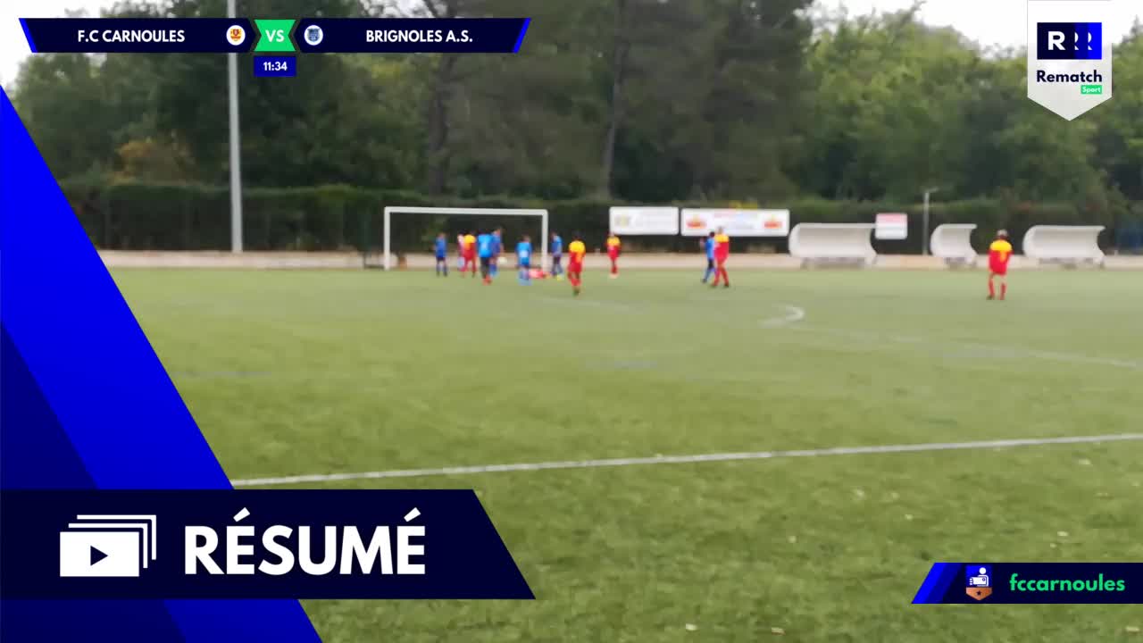 Vignette du résumé