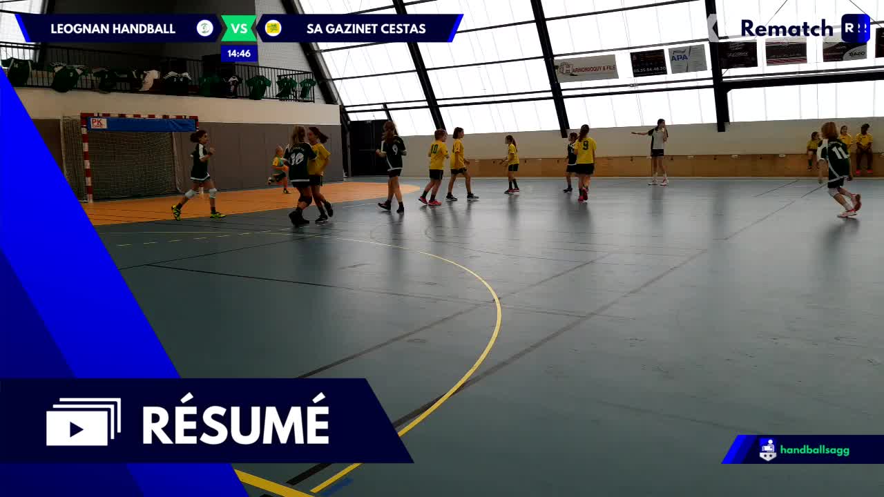 Vignette du résumé
