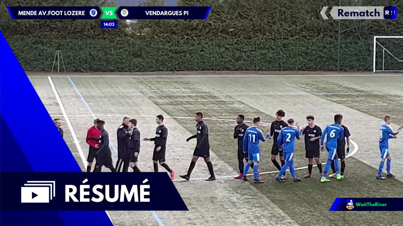 Vignette du résumé