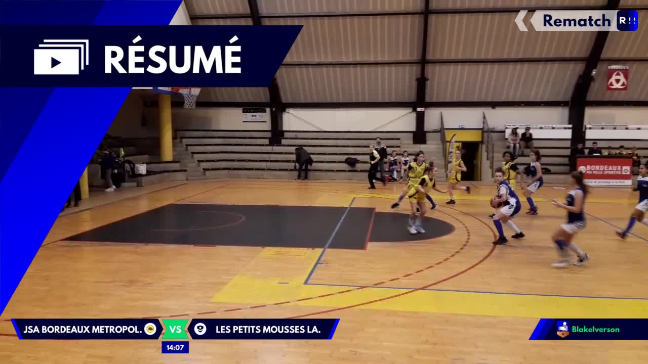 Vignette du résumé