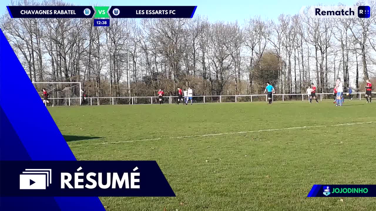 Vignette du résumé