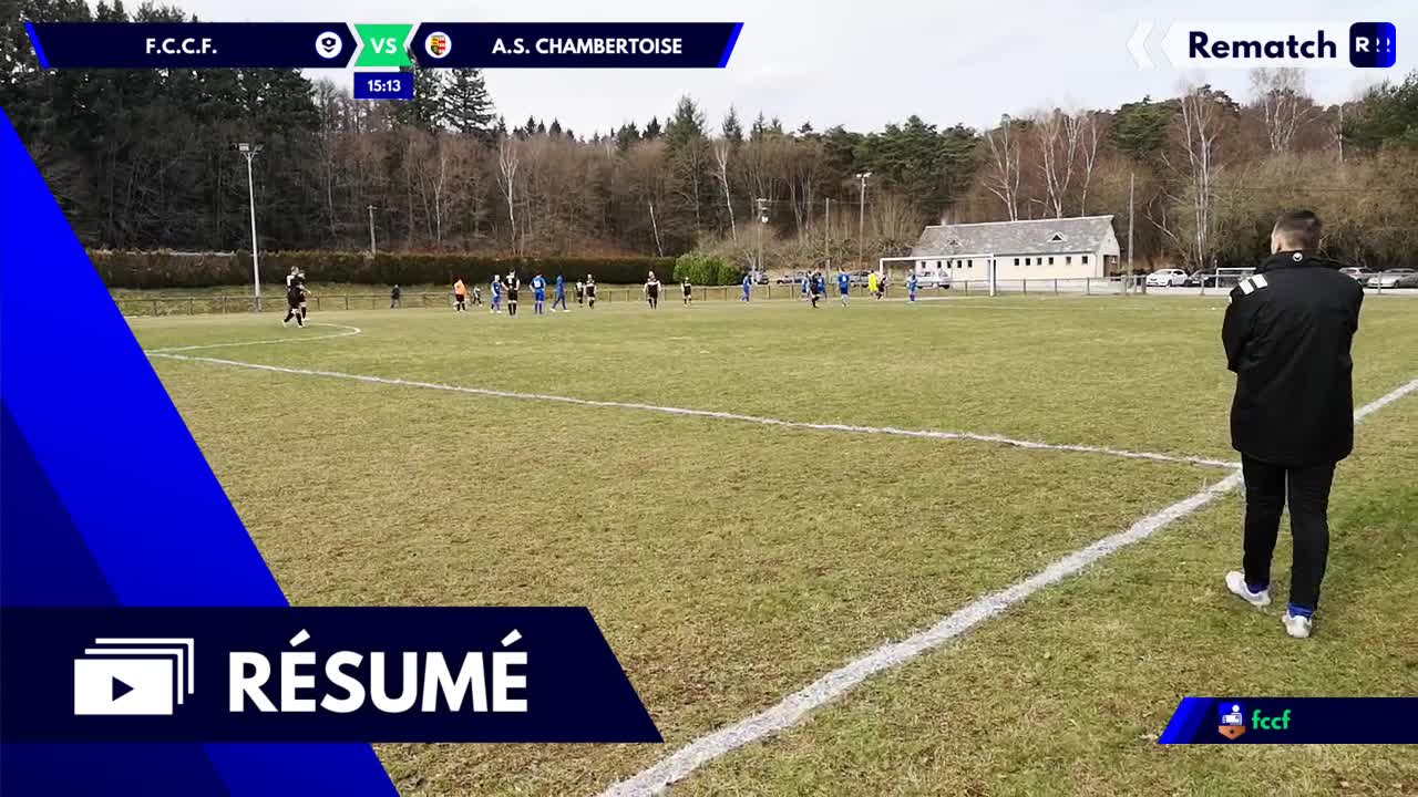Vignette du résumé