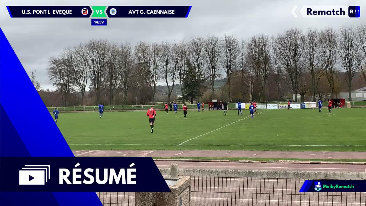 Vignette du résumé