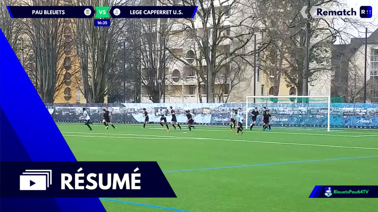 Vignette du résumé