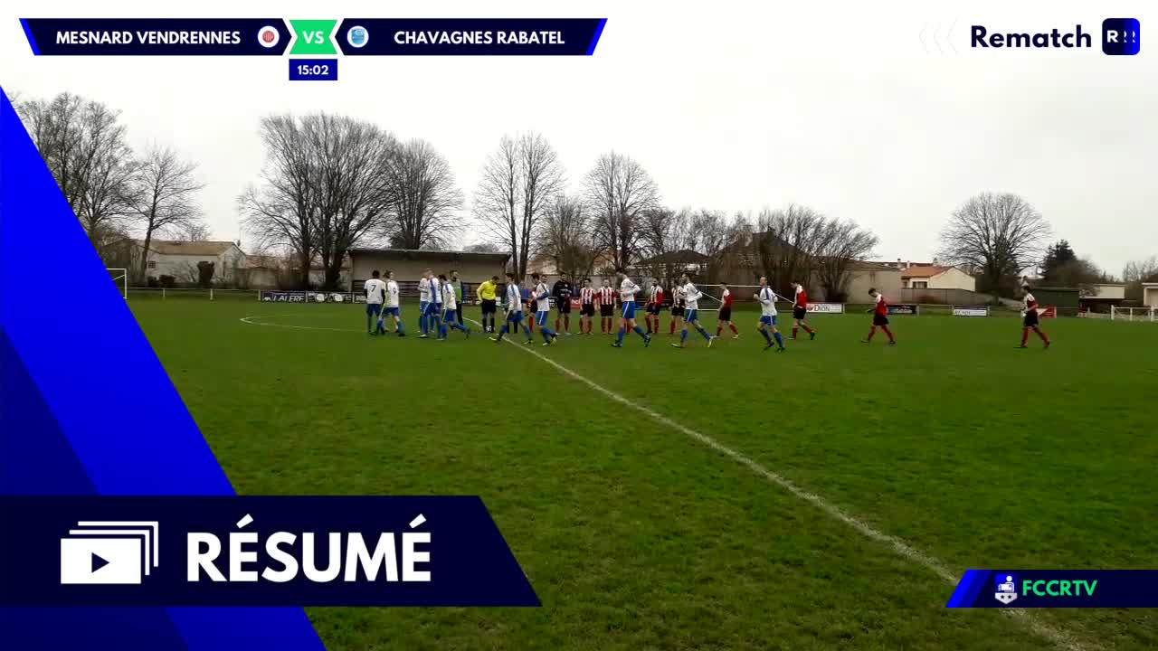 Vignette du résumé