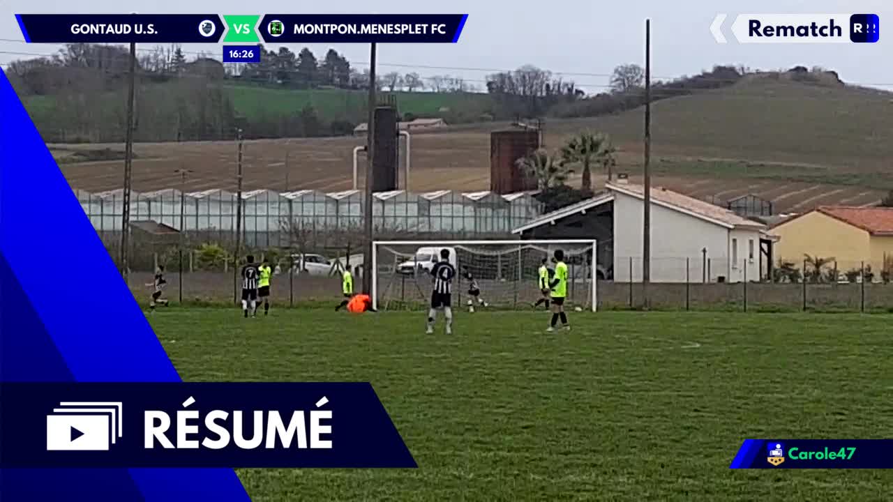 Vignette du résumé