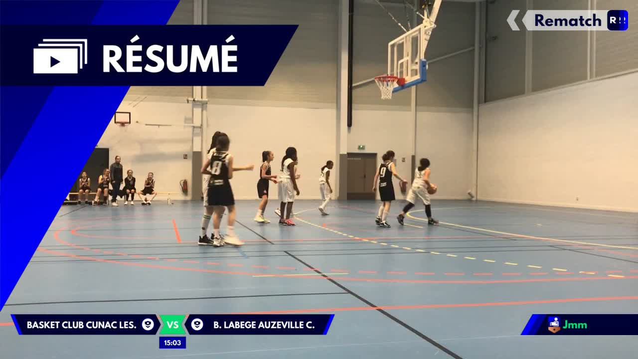 Vignette du résumé