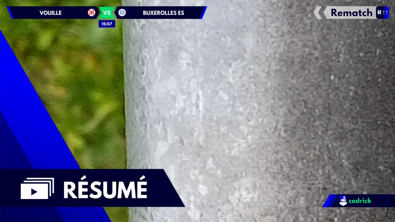 Vignette du résumé