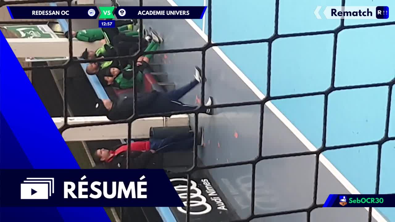 Vignette du résumé