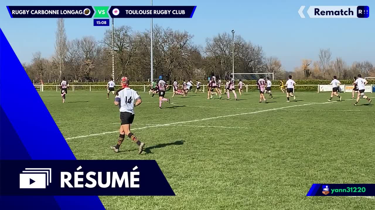 Vignette du résumé