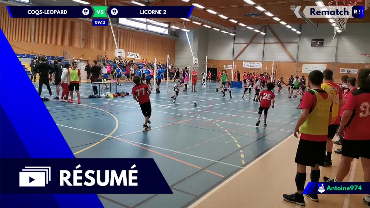 Vignette du résumé