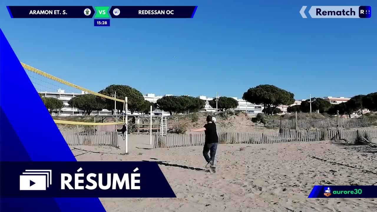 Vignette du résumé