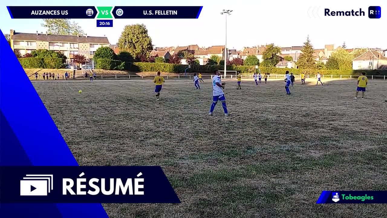 Vignette du résumé