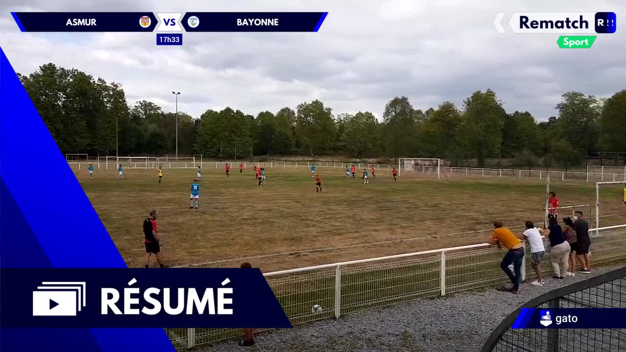Vignette du résumé