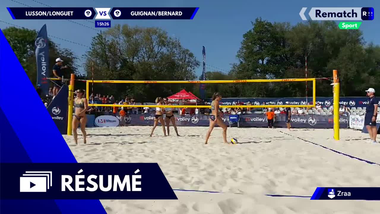 Vignette du résumé