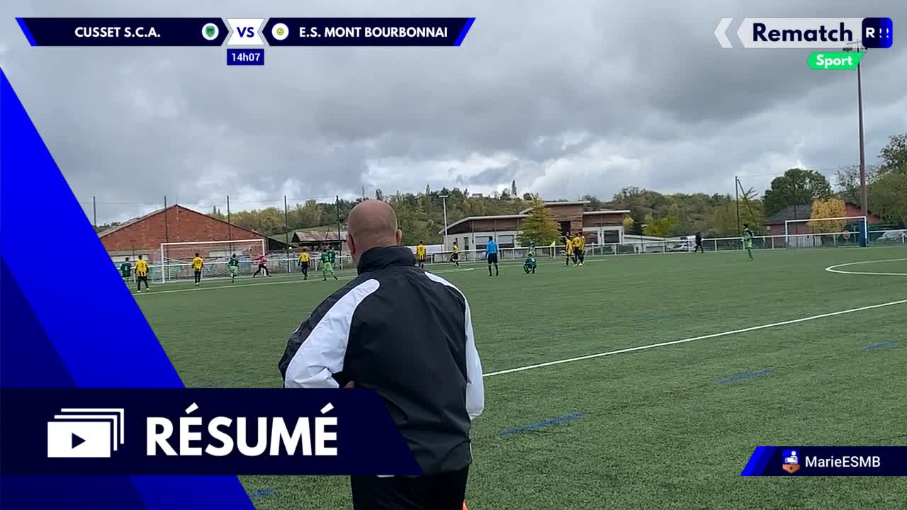 Vignette du résumé