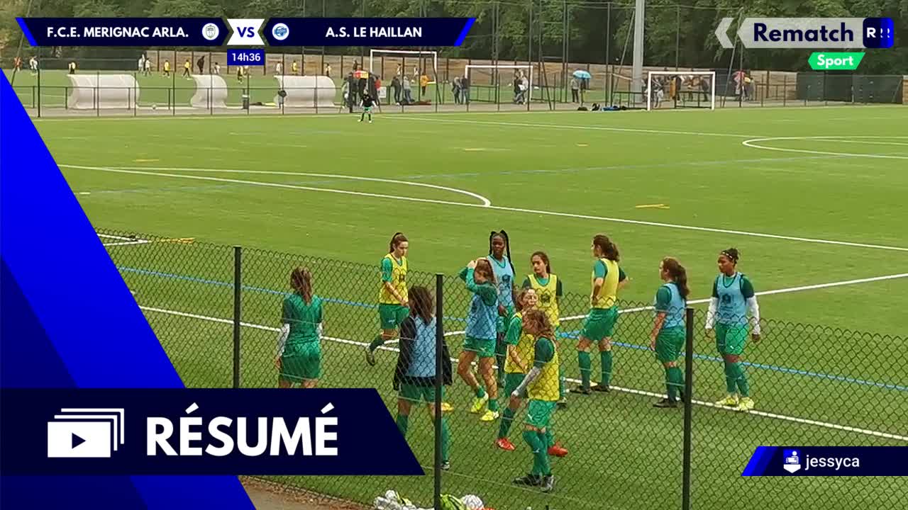 Vignette du résumé