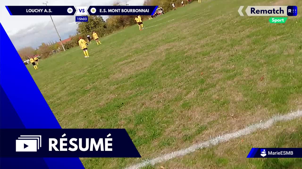 Vignette du résumé