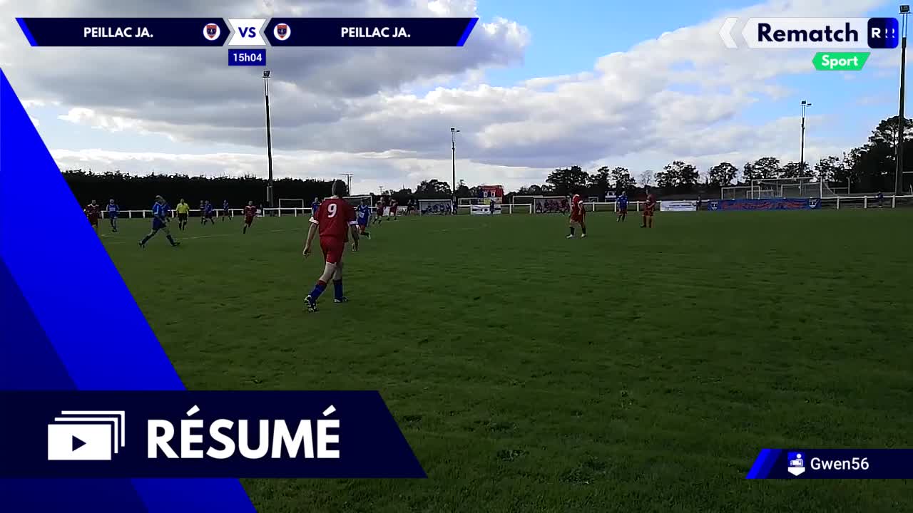 Vignette du résumé