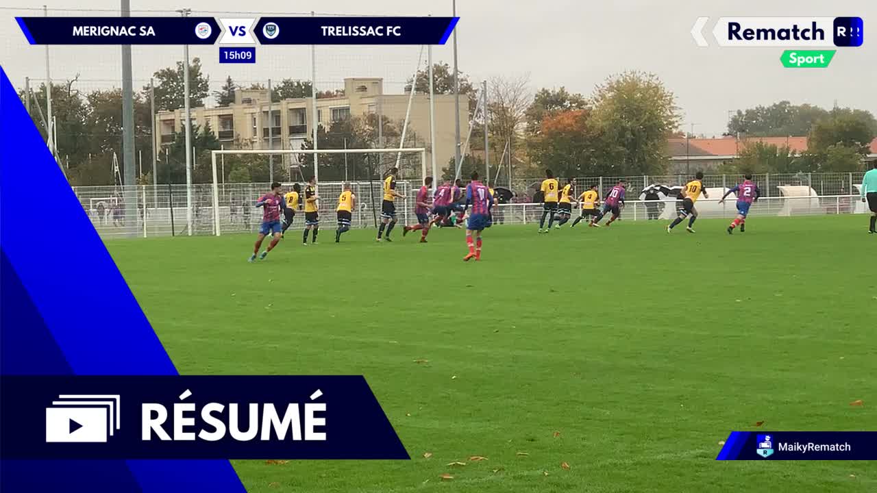 Vignette du résumé