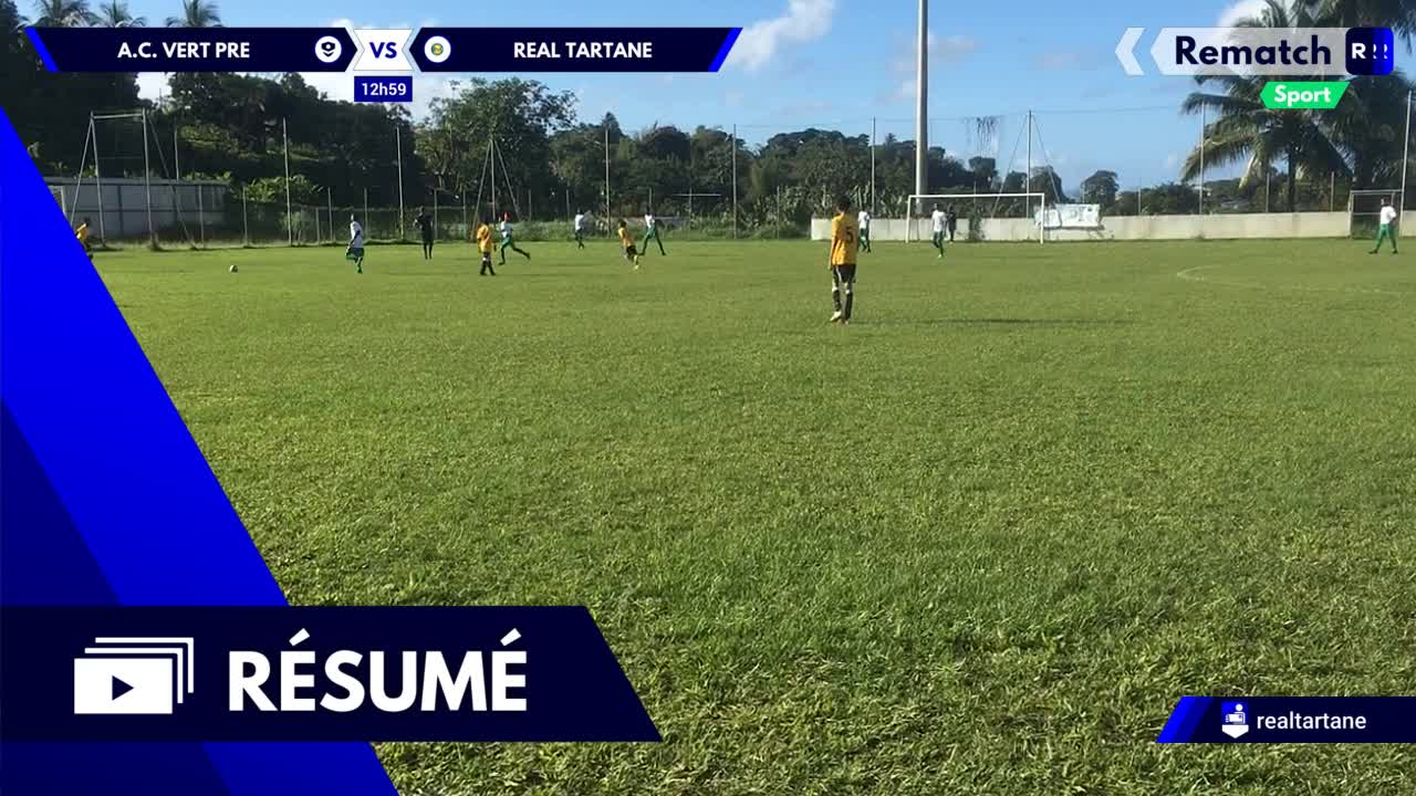 Vignette du résumé