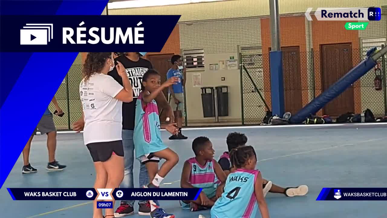 Vignette du résumé