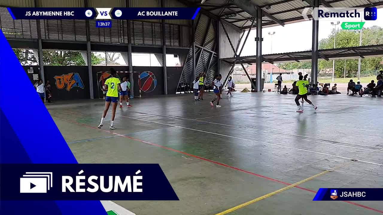 Vignette du résumé
