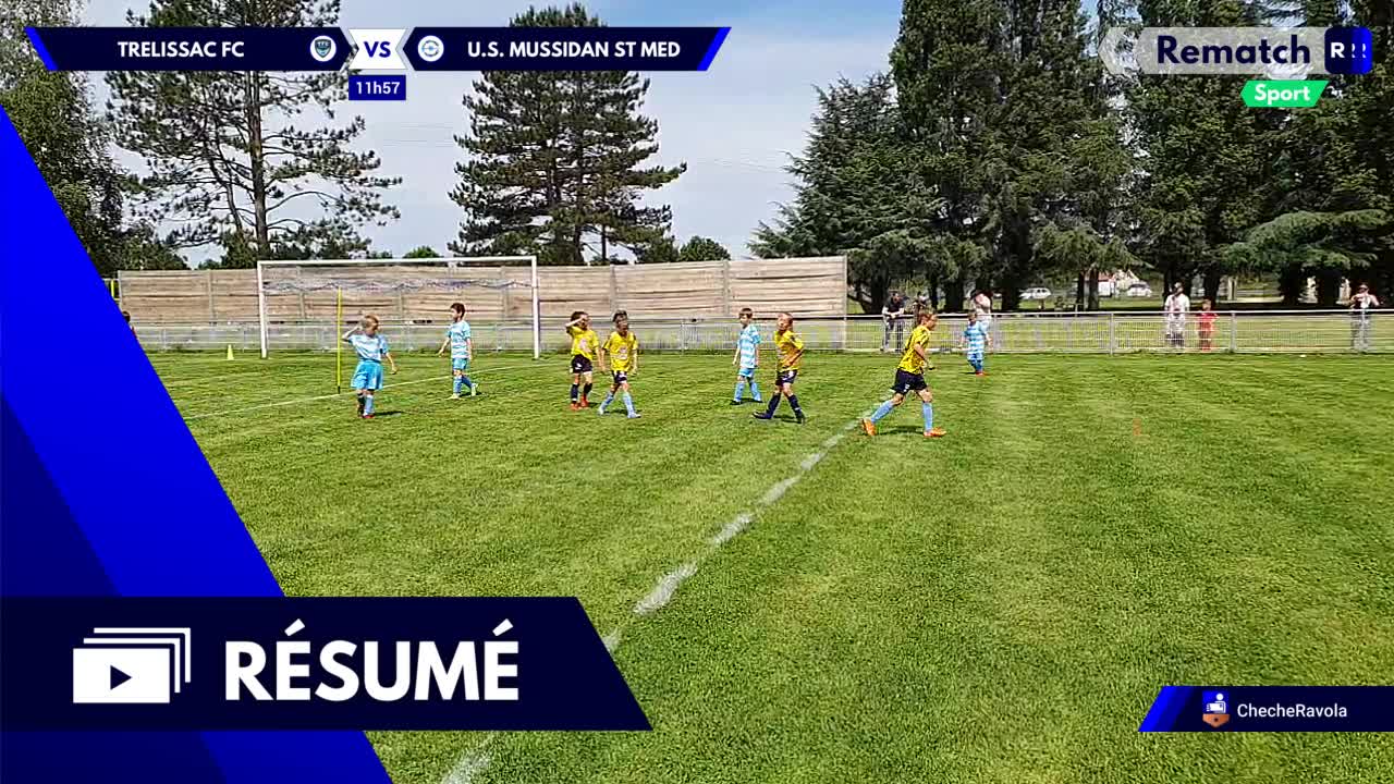 Vignette du résumé