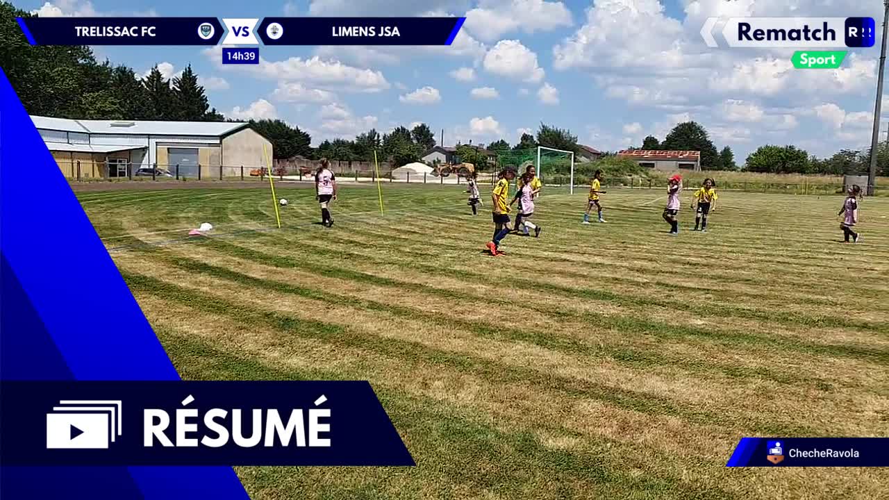 Vignette du résumé