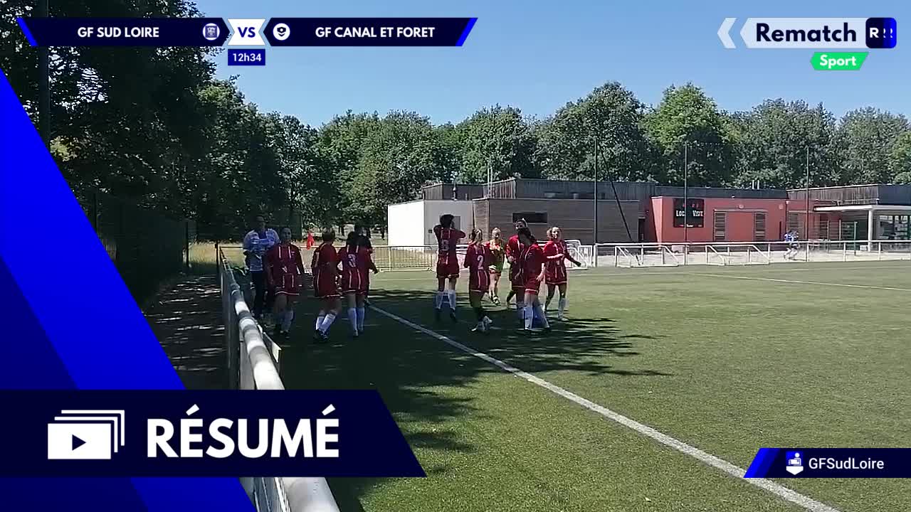 Vignette du résumé