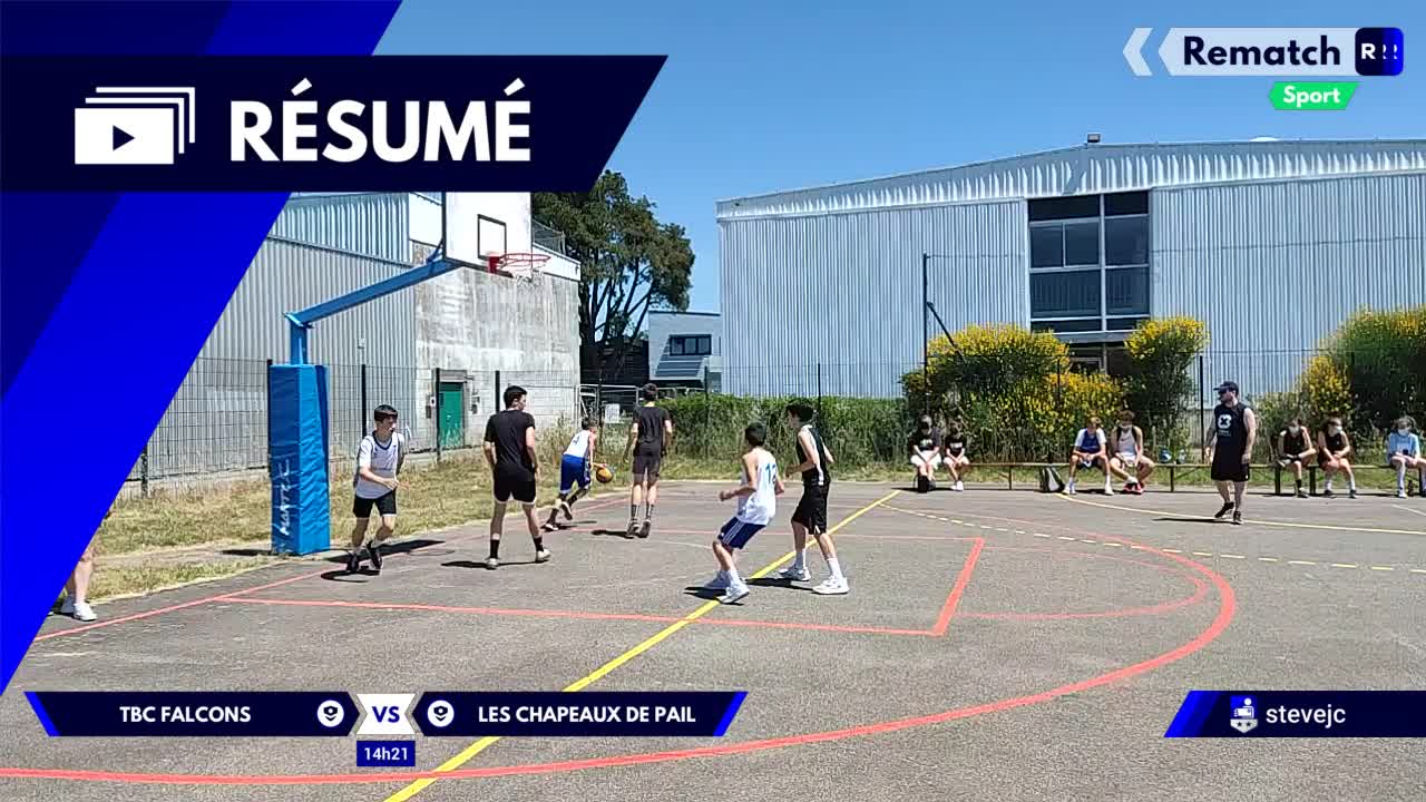 Vignette du résumé