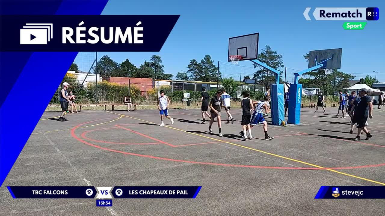 Vignette du résumé