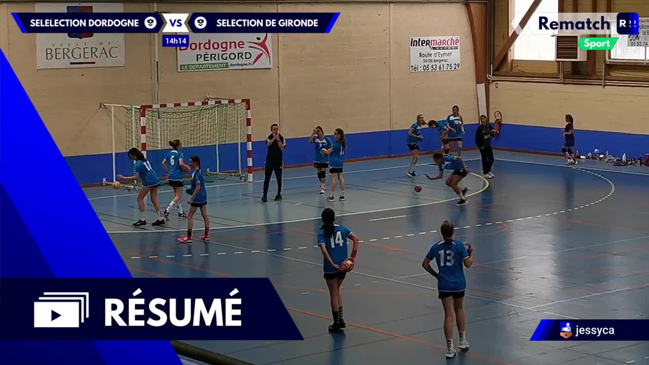 Vignette du résumé