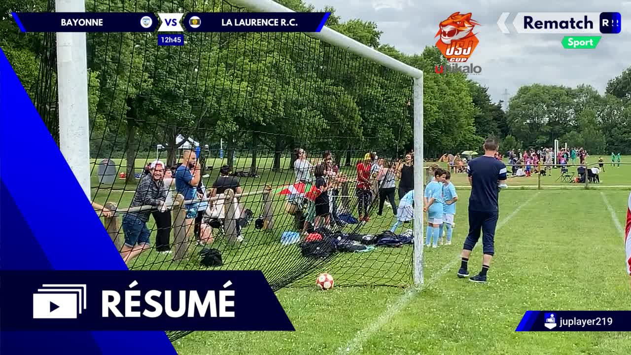 Vignette du résumé