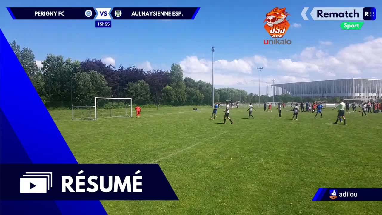 Vignette du résumé
