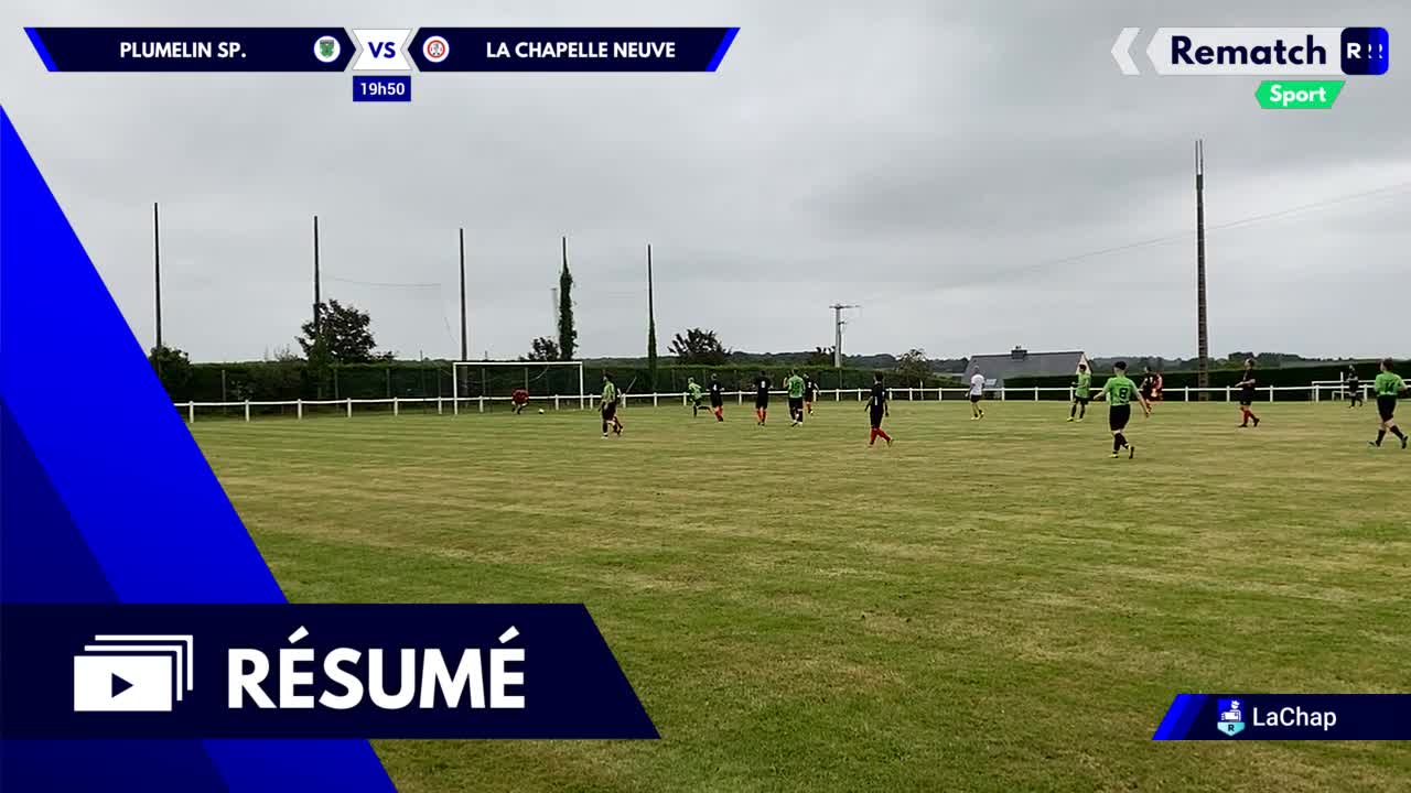 Vignette du résumé