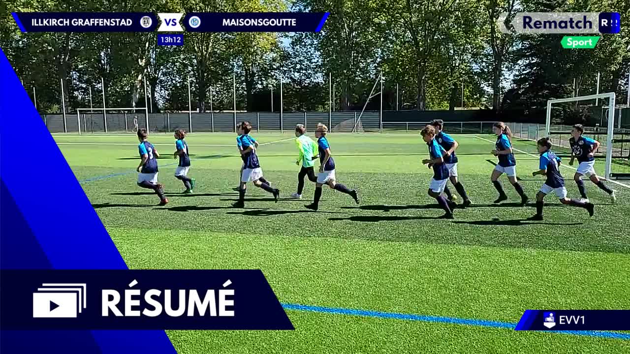 Vignette du résumé